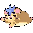 angy