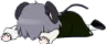 NYNDead