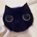 boioioioing
