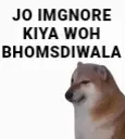 ace_Ignore