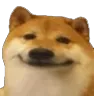 happyCheems happyCheems