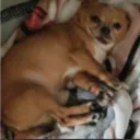 ScreenShot20220126at12