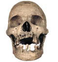 skull Discord emoji