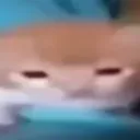 robert