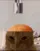 catgif catgif