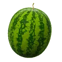 melon melon
