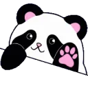 bongopanda