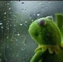 kermit