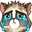 wlgCry wlgCry