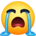 Facebookcry