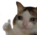 sadThumbsUp