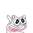 Catgi