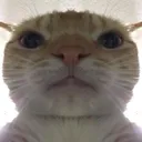 ba04f033109349c3ad288cd62af6344e