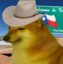 Tejasdog Tejasdog