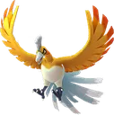 HoohShiny
