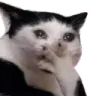 vai