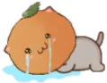 o_nyancry