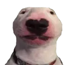 walter