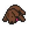 dogue