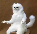 catroomguardian Discord Emoji