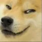 doge_smug Discord Emoji
