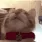 catlick