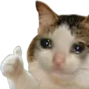 cat_thumbsup