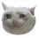 Zcat2