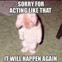 imsorry