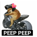 chapri_op Discord emoji