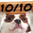 ambros5TEN ambros5TEN