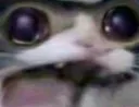 SCREEEEM