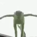 KE_kermitfall