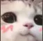 cute