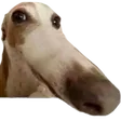 vzkHmmm