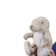 alyshasbunny