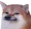 doggo
