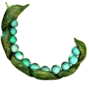 NmsBeans