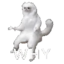 why