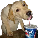 pepsisip