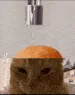 MYBRAIN