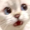 emoji_40