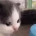 NL_michiwot