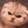 CatMad
