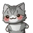 maxwellwiggle