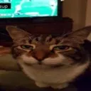 sup