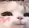 hehehe