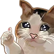 catthumbsupcry