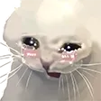 catcrying