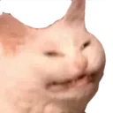 Cat Angry cat_angry Discord Emoji